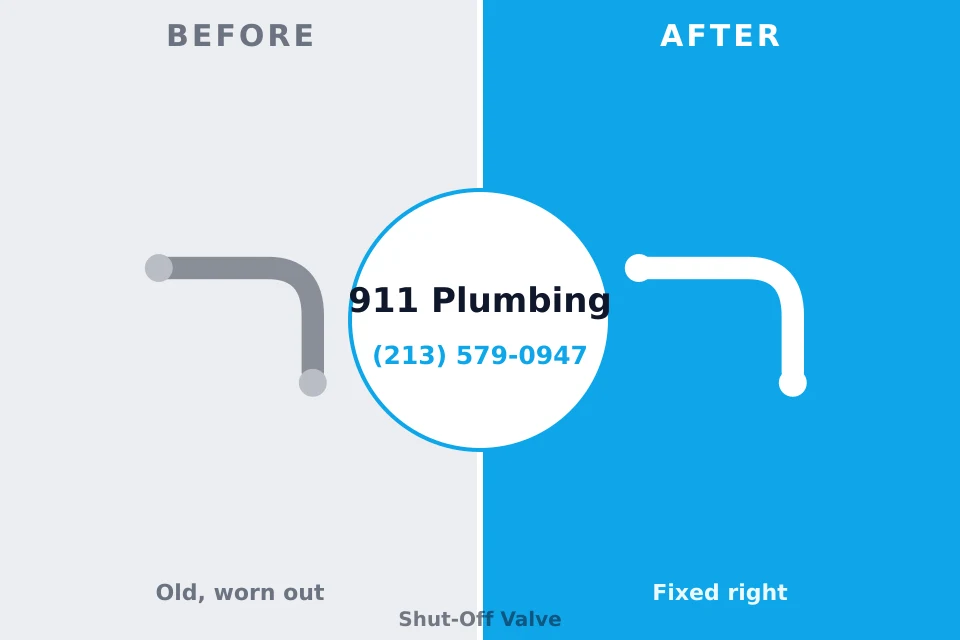 Before and after: plumbing repair Springfield, NJ